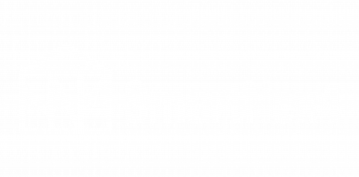 Smartnex4